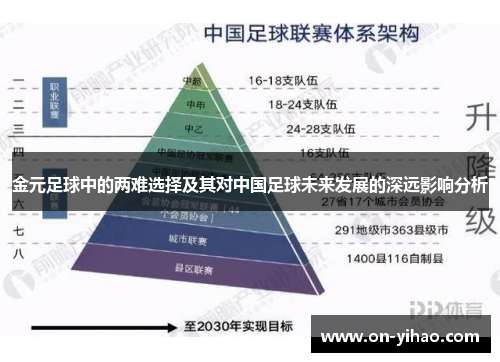 金元足球中的两难选择及其对中国足球未来发展的深远影响分析