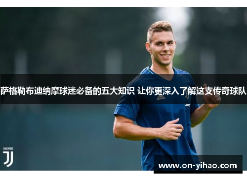 萨格勒布迪纳摩球迷必备的五大知识 让你更深入了解这支传奇球队