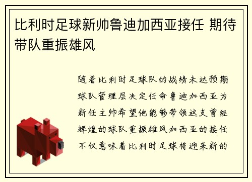 比利时足球新帅鲁迪加西亚接任 期待带队重振雄风