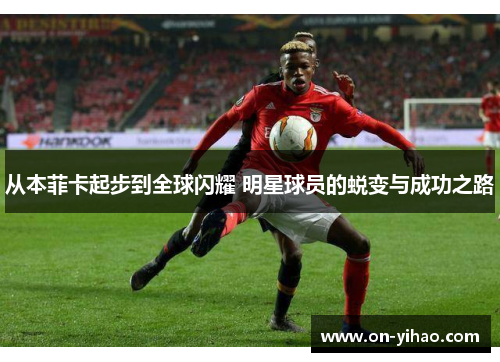 /uploads/images/20250802/cong-ben-fei-ka-qi-bu-dao-quan-qiu-shan-yao-ming-xing-qiu-yuan-de-tui-bian-yu-cheng-gong-zhi-lu.webp